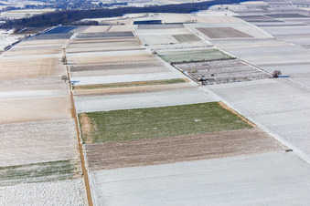 Vue aérienne de Champs et vergers enneigés en hiver à Billigheim-Ingenheim dans le département Rhénanie-Palatinat, Allemagne