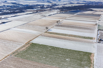 Vue aérienne de Champs enneigés en hiver à Billigheim-Ingenheim dans le département Rhénanie-Palatinat, Allemagne