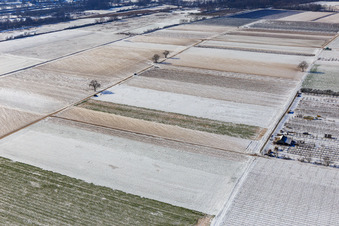 Photographie aérienne de Champs enneigés en hiver à Billigheim-Ingenheim dans le département Rhénanie-Palatinat, Allemagne