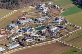 Vue aérienne de Zones riveraines du lac et communauté villageoise de Tennental à Deckenpfronn dans le département Bade-Wurtemberg, Allemagne