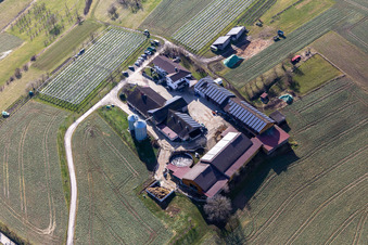 Vue aérienne de Hof Haarer à le quartier Kuppingen in Herrenberg dans le département Bade-Wurtemberg, Allemagne