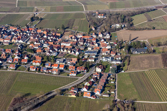Vue d'oiseau de Quartier Wollmesheim in Landau in der Pfalz dans le département Rhénanie-Palatinat, Allemagne
