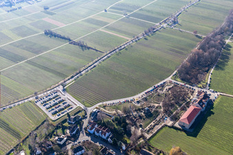 Vue aérienne de Alla hopp ! Salle de sport et de réunion au Triefenbachanlage à Edenkoben dans le département Rhénanie-Palatinat, Allemagne