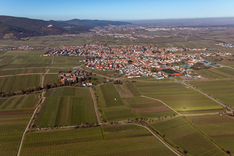 Vue aérienne de Quartier Alsterweiler in Maikammer dans le département Rhénanie-Palatinat, Allemagne
