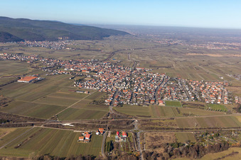 Quartier Mußbach in Neustadt an der Weinstraße dans le département Rhénanie-Palatinat, Allemagne d'en haut