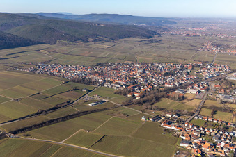 Vue aérienne de Deidesheim dans le département Rhénanie-Palatinat, Allemagne