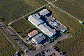 Vue aérienne de Marché Raiffeisen, Anslinger, Lidl à Deidesheim dans le département Rhénanie-Palatinat, Allemagne