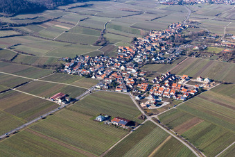 Vue aérienne de Vignobles à Forst an der Weinstraße dans le département Rhénanie-Palatinat, Allemagne