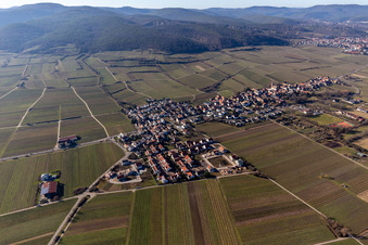 Vue aérienne de Forst an der Weinstraße dans le département Rhénanie-Palatinat, Allemagne