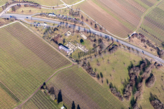 Vue aérienne de Murs de fondation de la Villa Rustica romaine de Wachenheim à Wachenheim an der Weinstraße dans le département Rhénanie-Palatinat, Allemagne