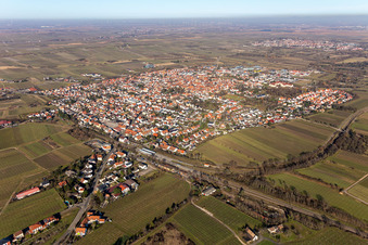 Vue aérienne de Entouré de vignes à Freinsheim dans le département Rhénanie-Palatinat, Allemagne
