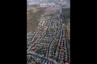 Vue aérienne de Birkenheide dans le département Rhénanie-Palatinat, Allemagne