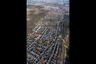 Vue aérienne de Birkenheide dans le département Rhénanie-Palatinat, Allemagne