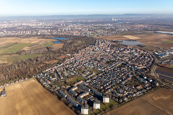 Vue aérienne de Vue des rues et des maisons dans les quartiers résidentiels à le quartier Maudach in Ludwigshafen am Rhein dans le département Rhénanie-Palatinat, Allemagne