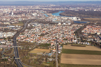 Vue aérienne de Vue des rues et des maisons dans les quartiers résidentiels à le quartier Rheingönheim in Ludwigshafen am Rhein dans le département Rhénanie-Palatinat, Allemagne