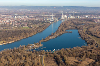 Vue aérienne de Kiefweiher à le quartier Rheingönheim in Ludwigshafen am Rhein dans le département Rhénanie-Palatinat, Allemagne