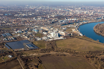 Vue oblique de Zone industrielle et commerciale à le quartier Rheingönheim in Ludwigshafen am Rhein dans le département Rhénanie-Palatinat, Allemagne