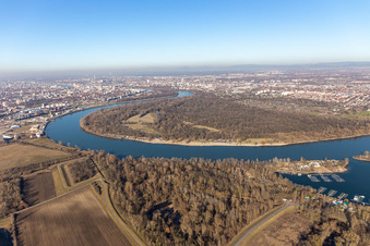 Vue aérienne de Réserve naturelle de Reißinsel à le quartier Niederfeld in Mannheim dans le département Bade-Wurtemberg, Allemagne