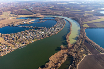 Vue aérienne de Zones côtières sur la mer Adriatique bleue et le Vieux Rhin de Neuhofen avec zone de loisirs locale à Altrip dans le département Rhénanie-Palatinat, Allemagne
