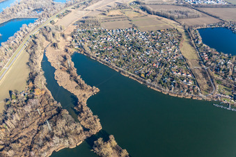 Vue aérienne de Zone de loisirs Neuhofener Altrhein et Blue Adriatic à Altrip dans le département Rhénanie-Palatinat, Allemagne