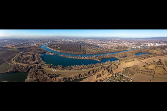 Vue aérienne de Perspective panoramique de la boucle des rives autour de la Reißinsel près de Neckarau sur le Rhin - cours du fleuve à le quartier Niederfeld in Mannheim dans le département Bade-Wurtemberg, Allemagne