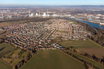 Vue des rues et des maisons dans les quartiers résidentiels à Altrip dans le département Rhénanie-Palatinat, Allemagne d'en haut