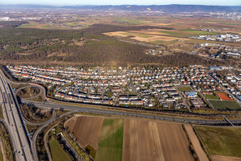 Vue aérienne de Hirschacker à Schwetzingen dans le département Bade-Wurtemberg, Allemagne