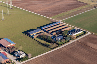 Vue aérienne de Aussiedlerhof Alsheimer Weg à Plankstadt dans le département Bade-Wurtemberg, Allemagne