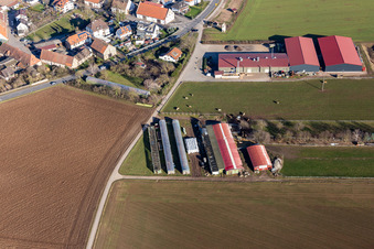 Photographie aérienne de Quartier Bruchhausen in Sandhausen dans le département Bade-Wurtemberg, Allemagne