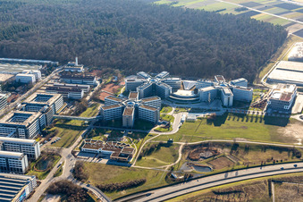 Vue aérienne de Immeubles de bureaux et commerciaux en forme d'étoile de SAP Deutschland SE & Co. KG à la lisière de la forêt à Walldorf dans le département Bade-Wurtemberg, Allemagne