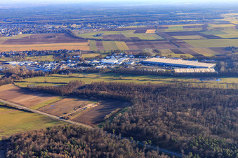 Vue aérienne de Zone industrielle d'Im Horst vue du nord à le quartier Minderslachen in Kandel dans le département Rhénanie-Palatinat, Allemagne