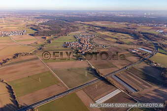 Vue d'oiseau de Erlenbach bei Kandel dans le département Rhénanie-Palatinat, Allemagne