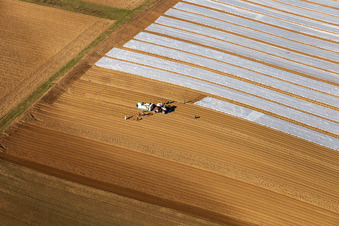 Vue aérienne de Culture d'un champ à l'aide d'un tracteur avec des machines agricoles pour semer et planter des boutures de laitue à Freckenfeld dans le département Rhénanie-Palatinat, Allemagne