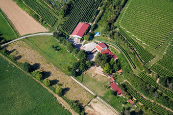 Vue aérienne de Ranch à Herxheim bei Landau dans le département Rhénanie-Palatinat, Allemagne