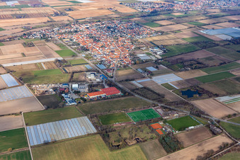 Vue aérienne de Zeiskam dans le département Rhénanie-Palatinat, Allemagne
