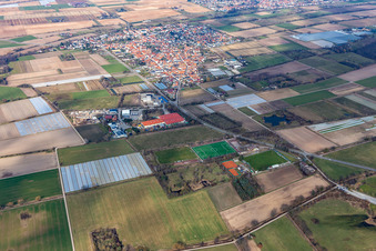 Vue aérienne de Zeiskam dans le département Rhénanie-Palatinat, Allemagne