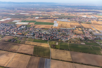 Vue aérienne de Quartier Niederlustadt in Lustadt dans le département Rhénanie-Palatinat, Allemagne