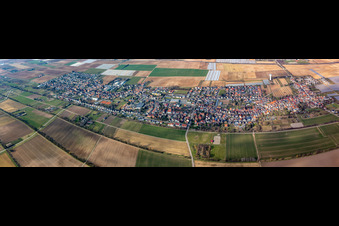 Vue aérienne de Panorama de la ville et des environs à le quartier Niederlustadt in Lustadt dans le département Rhénanie-Palatinat, Allemagne