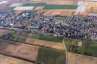 Vue oblique de Quartier Niederlustadt in Lustadt dans le département Rhénanie-Palatinat, Allemagne