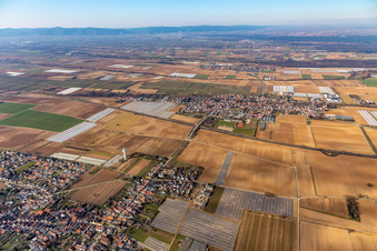Vue aérienne de Weingarten dans le département Rhénanie-Palatinat, Allemagne