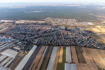 Vue aérienne de Vue des rues et des maisons dans les quartiers résidentiels à Dudenhofen dans le département Rhénanie-Palatinat, Allemagne