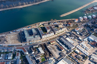 Vue aérienne de Chantier de construction du lotissement résidentiel de l'ancienne briqueterie au bord du Rhin à Speyer dans le département Rhénanie-Palatinat, Allemagne