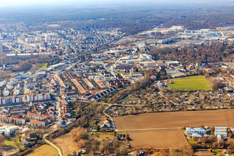 Vue aérienne de Ouest, pâturage de vaches à Speyer dans le département Rhénanie-Palatinat, Allemagne