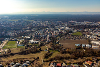 Vue aérienne de Rue Viehtritt à Speyer dans le département Rhénanie-Palatinat, Allemagne