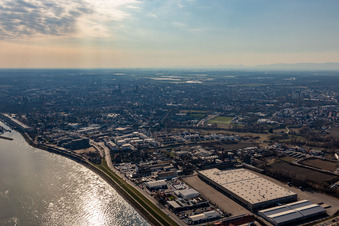 Vue aérienne de Rive du Rhin à le quartier Ludwigshof in Speyer dans le département Rhénanie-Palatinat, Allemagne