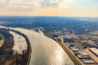 Vue aérienne de Rhin à Speyer du nord au vieux port à Speyer dans le département Rhénanie-Palatinat, Allemagne