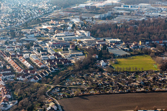 Vue aérienne de Jardins familiaux et terrain de sport à Kuhweide à Speyer dans le département Rhénanie-Palatinat, Allemagne