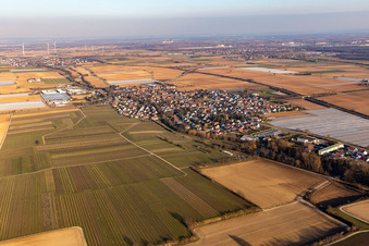 Vue aérienne de Weingarten dans le département Rhénanie-Palatinat, Allemagne