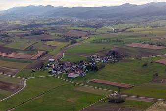 Vue d'oiseau de Quartier Deutschhof in Kapellen-Drusweiler dans le département Rhénanie-Palatinat, Allemagne