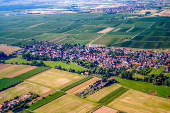Vue aérienne de Village du sud-est à le quartier Duttweiler in Neustadt an der Weinstraße dans le département Rhénanie-Palatinat, Allemagne